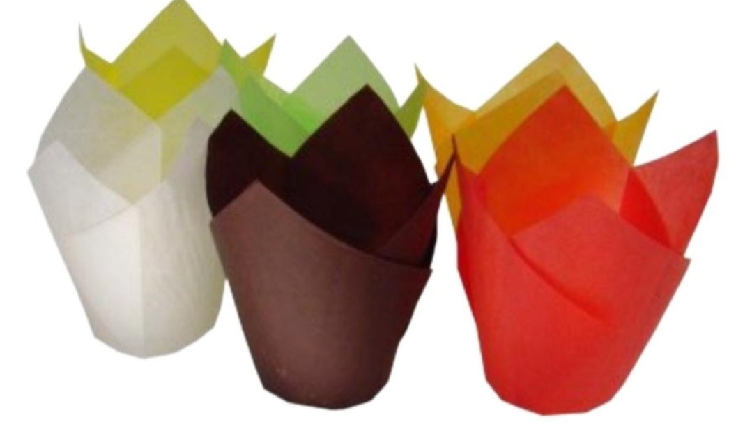 PIROTTINI TULIP CUP 20pz