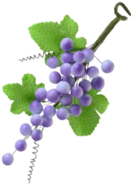SUGAR GRAPE BRANCH