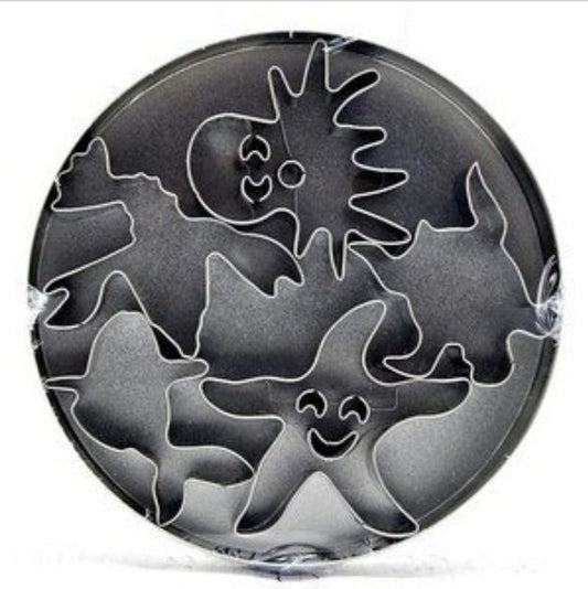 MARINE ANIMAL COOKIE CUTTERS