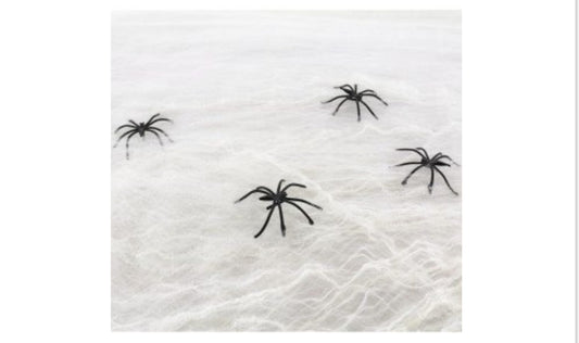 RAGNATELA BIANCA HALLOWEEN