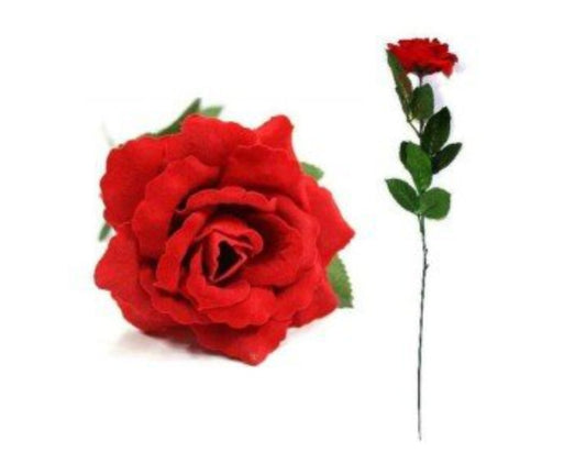 ROSA ROSSA A STELO LUNGO